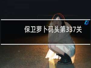 保卫萝卜码头第337关