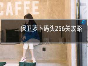 保卫萝卜码头256关攻略