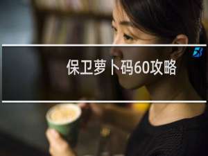 保卫萝卜码60攻略