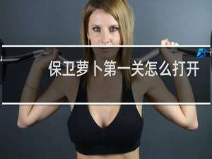 保卫萝卜第一关怎么打开
