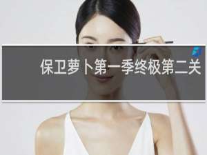 保卫萝卜第一季终极第二关