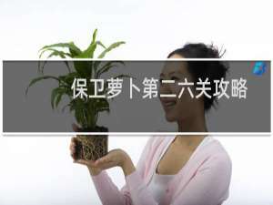 保卫萝卜第二六关攻略