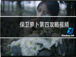 保卫萝卜第四攻略视频