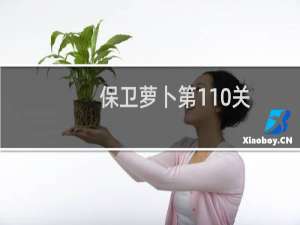 保卫萝卜第110关