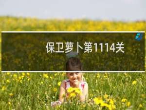 保卫萝卜第1114关