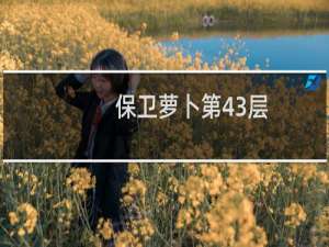 保卫萝卜第43层