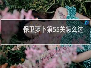 保卫萝卜第55关怎么过