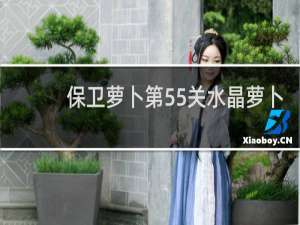 保卫萝卜第55关水晶萝卜