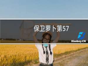 保卫萝卜第57
