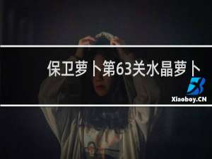 保卫萝卜第63关水晶萝卜