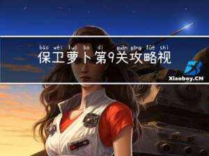 保卫萝卜第9关攻略视频