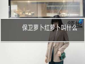 保卫萝卜红萝卜叫什么