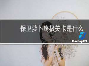 保卫萝卜终极关卡是什么