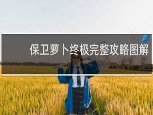 保卫萝卜终极完整攻略图解