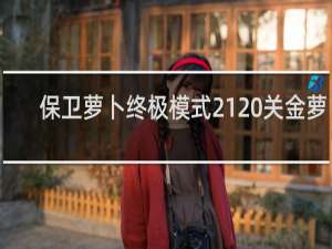 保卫萝卜终极模式21 关金萝卜