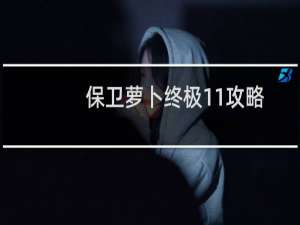保卫萝卜终极11攻略