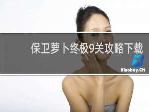 保卫萝卜终极9关攻略下载