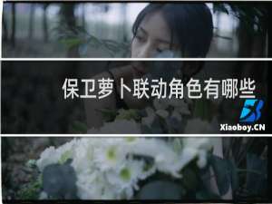 保卫萝卜联动角色有哪些