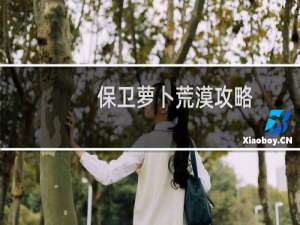 保卫萝卜荒漠攻略