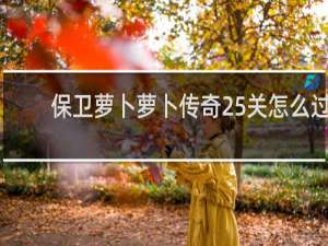 保卫萝卜萝卜传奇25关怎么过