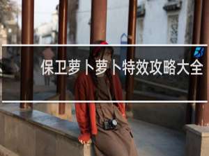 保卫萝卜萝卜特效攻略大全