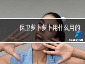 保卫萝卜萝卜用什么用的
