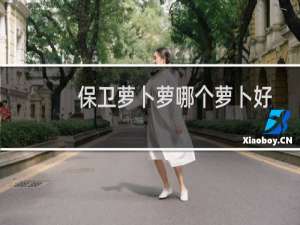 保卫萝卜萝哪个萝卜好
