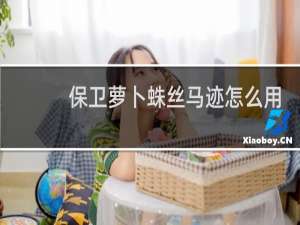 保卫萝卜蛛丝马迹怎么用