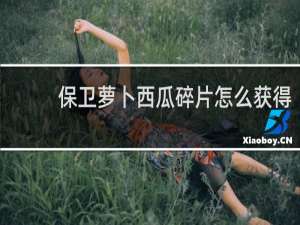 保卫萝卜西瓜碎片怎么获得