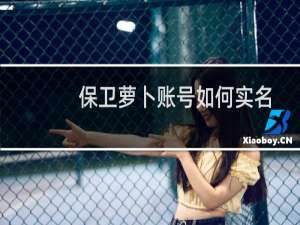 保卫萝卜账号如何实名