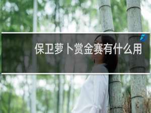 保卫萝卜赏金赛有什么用