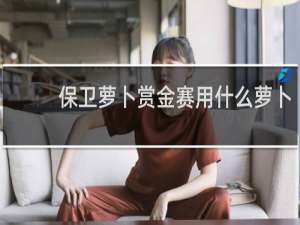 保卫萝卜赏金赛用什么萝卜