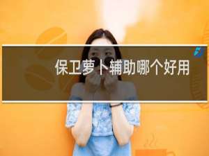 保卫萝卜辅助哪个好用
