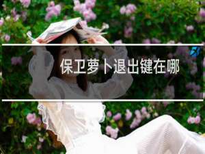 保卫萝卜退出键在哪