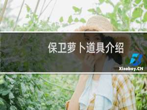 保卫萝卜道具介绍