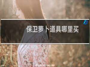 保卫萝卜道具哪里买