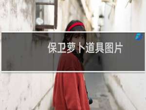 保卫萝卜道具图片