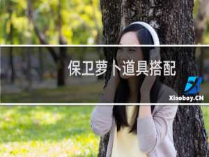 保卫萝卜道具搭配