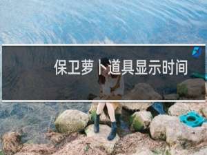 保卫萝卜道具显示时间