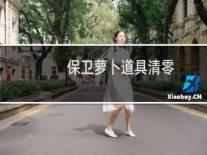 保卫萝卜道具清零
