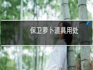 保卫萝卜道具用处