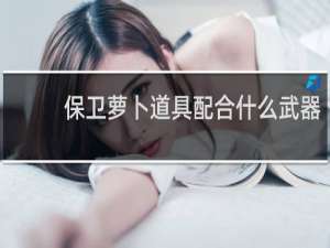 保卫萝卜道具配合什么武器