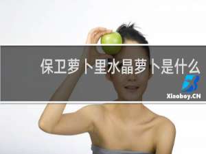 保卫萝卜里水晶萝卜是什么