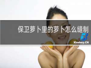 保卫萝卜里的萝卜怎么缝制