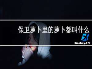 保卫萝卜里的萝卜都叫什么