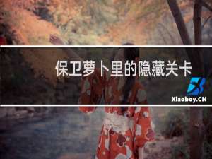 保卫萝卜里的隐藏关卡