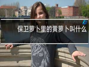 保卫萝卜里的黄萝卜叫什么