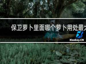 保卫萝卜里面哪个萝卜用处最大