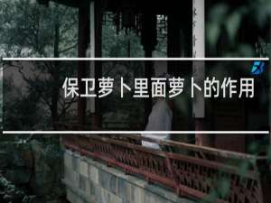 保卫萝卜里面萝卜的作用