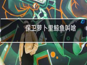 保卫萝卜里鲸鱼叫啥